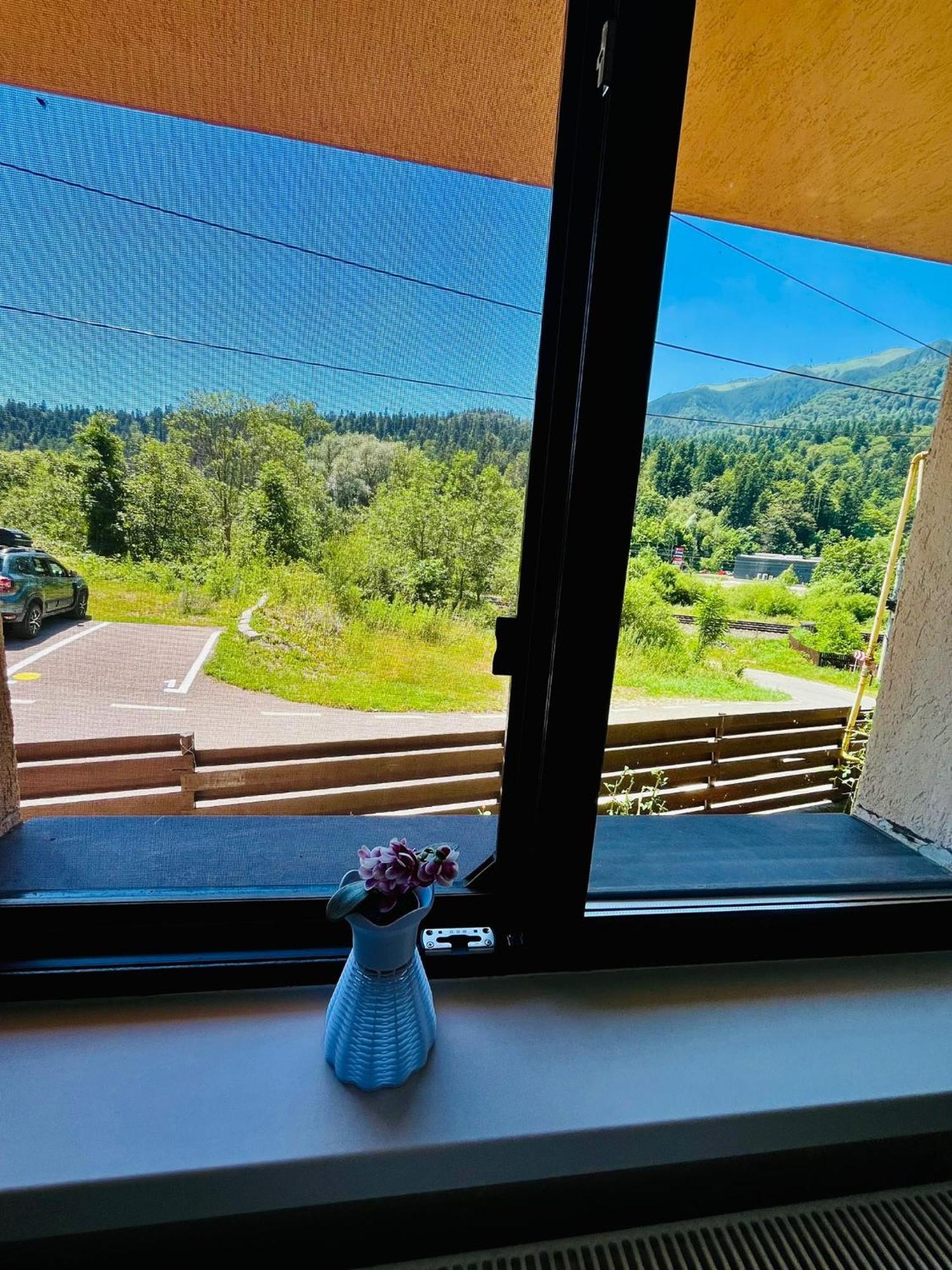 锡纳亚鲁瓦旅馆住宿加早餐旅馆 外观 照片